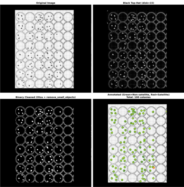 Colony Visualization